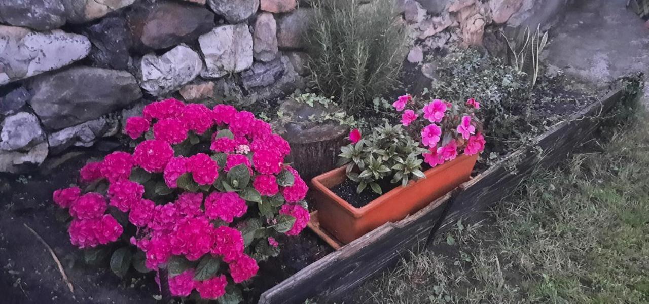 La Casa De Abajo Βίλα Llanes Εξωτερικό φωτογραφία